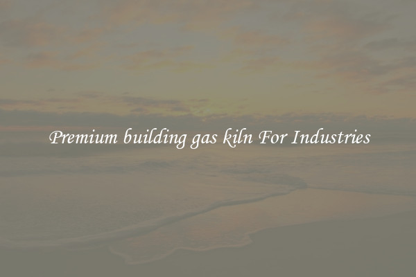 Premium building gas kiln For Industries