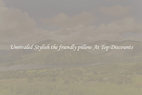 Unrivaled Stylish the friendly pillow At Top Discounts