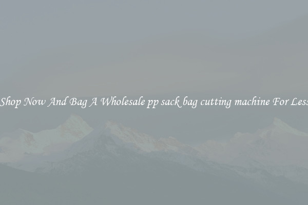 Shop Now And Bag A Wholesale pp sack bag cutting machine For Less