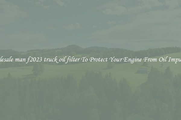 Wholesale man f2023 truck oil filter To Protect Your Engine From Oil Impurities