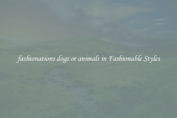 fashionations dogs or animals in Fashionable Styles