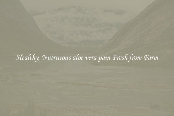 Healthy, Nutritious aloe vera pain Fresh from Farm
