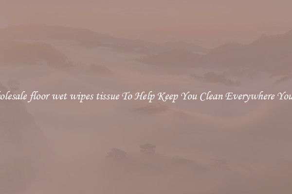 Wholesale floor wet wipes tissue To Help Keep You Clean Everywhere You Go