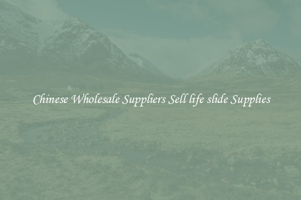 Chinese Wholesale Suppliers Sell life slide Supplies