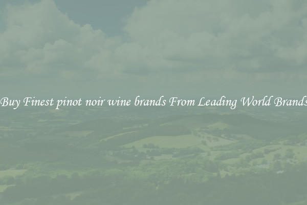 Buy Finest pinot noir wine brands From Leading World Brands