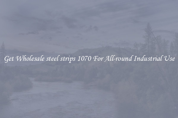 Get Wholesale steel strips 1070 For All-round Industrial Use