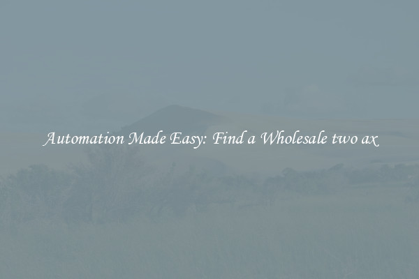  Automation Made Easy: Find a Wholesale two ax 