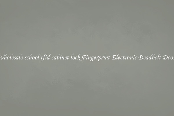 Wholesale school rfid cabinet lock Fingerprint Electronic Deadbolt Door 