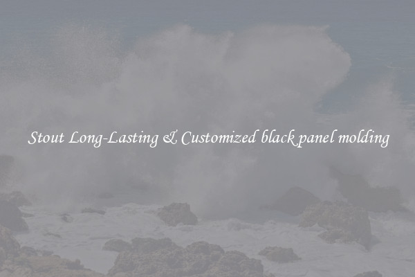 Stout Long-Lasting & Customized black panel molding