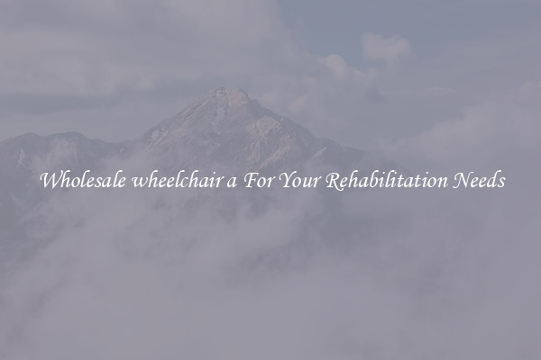 Wholesale wheelchair a For Your Rehabilitation Needs