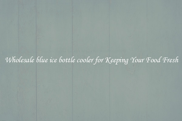 Wholesale blue ice bottle cooler for Keeping Your Food Fresh