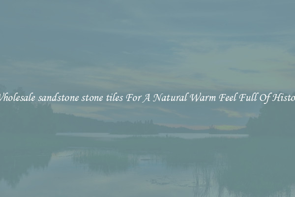 Wholesale sandstone stone tiles For A Natural Warm Feel Full Of History